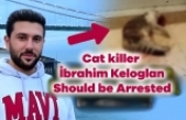 Demand for Justice: Ibrahim Keloglan Must Be Detained for His Cat Killing Act!
