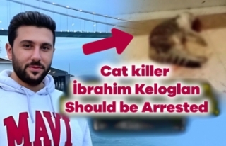 Demand for Justice: Ibrahim Keloglan Must Be Detained...