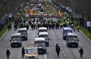 Spanish Farmers Descend on Madrid Streets Amid EU...